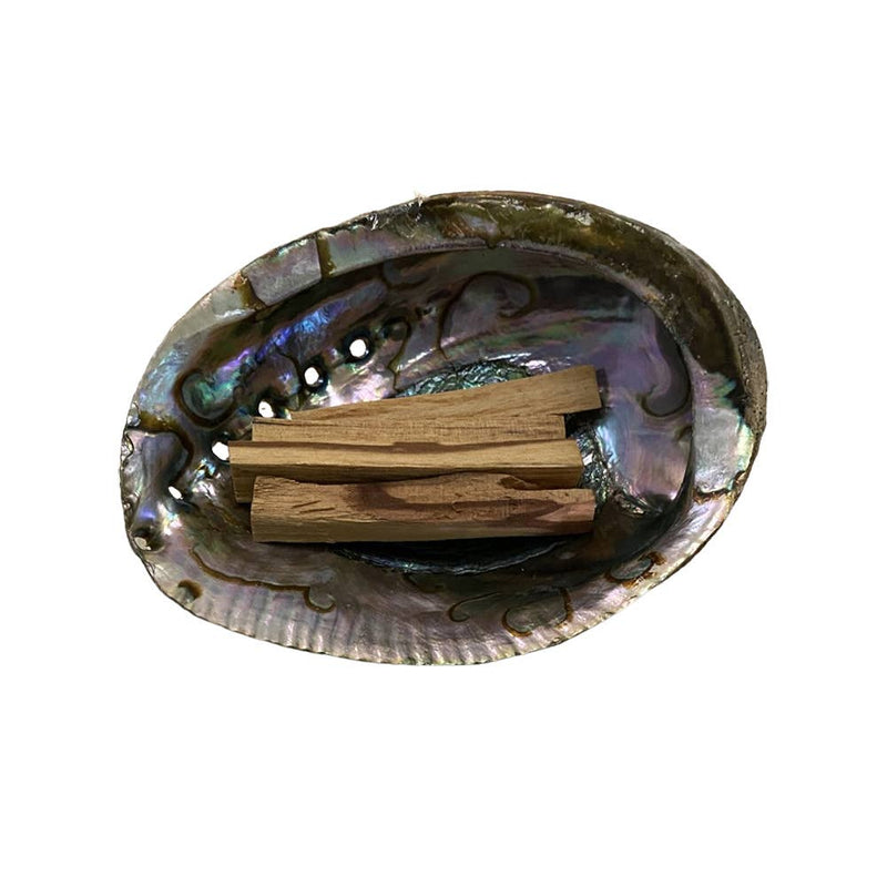 XL Abalone Shell