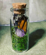 Butterfly Faerie Jar