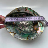 XL Abalone Shell