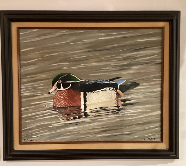 Paddling Along - Wood Duck Solitude