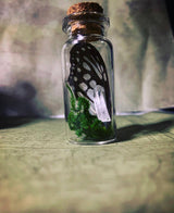 Butterfly Faerie Jar