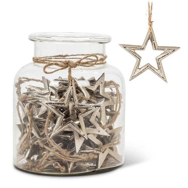 Apothecary Silver Star Ornament