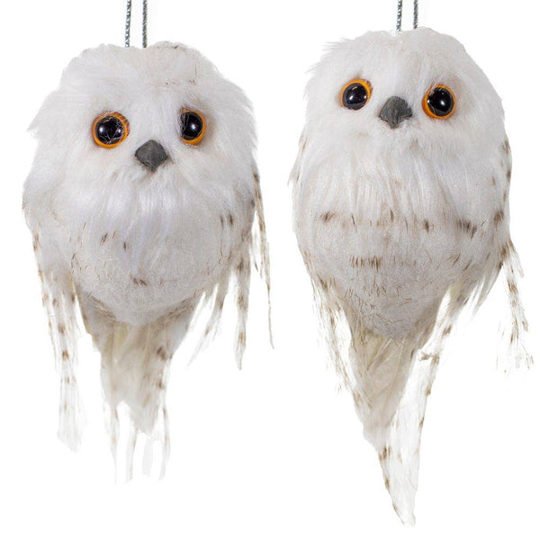 Hoo Owl Ornament