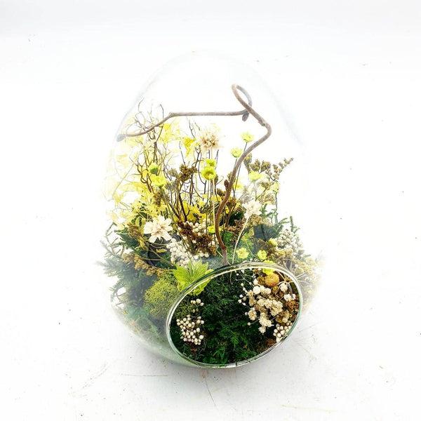 Terrarium Stabilisé Oeuf (Medium)