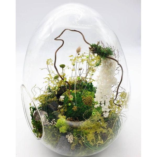 Terrarium Stabilisé Oeuf (Large)